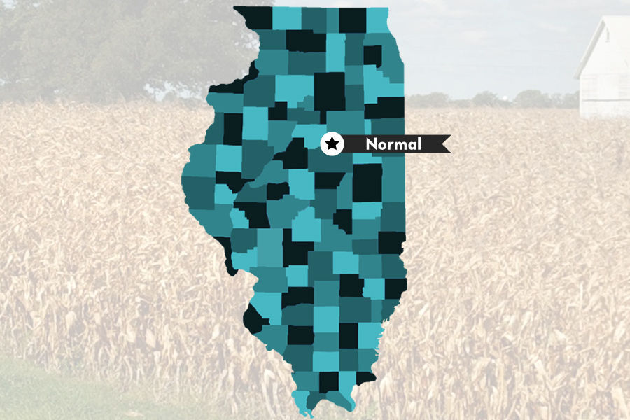 4. Normal